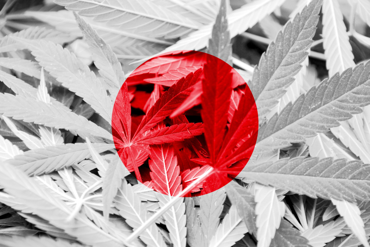 日本人が今 大麻産業を真剣に考えるべき理由 Marijuana Jp マリファナｊｐ 国内最大の大麻メディア