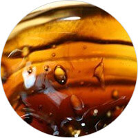 CBD OIL