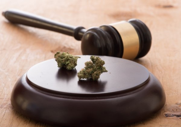 大麻