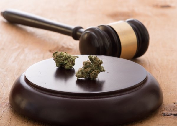 大麻