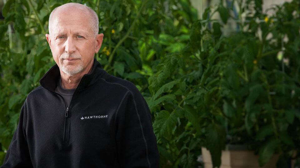 大麻関連企業CEO