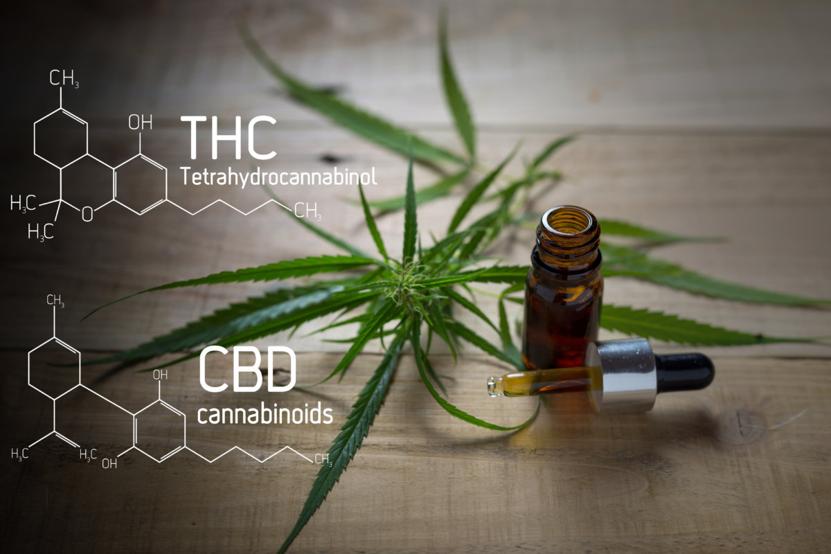 THCとCBD