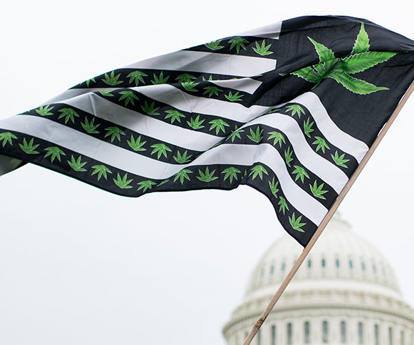 大麻国旗