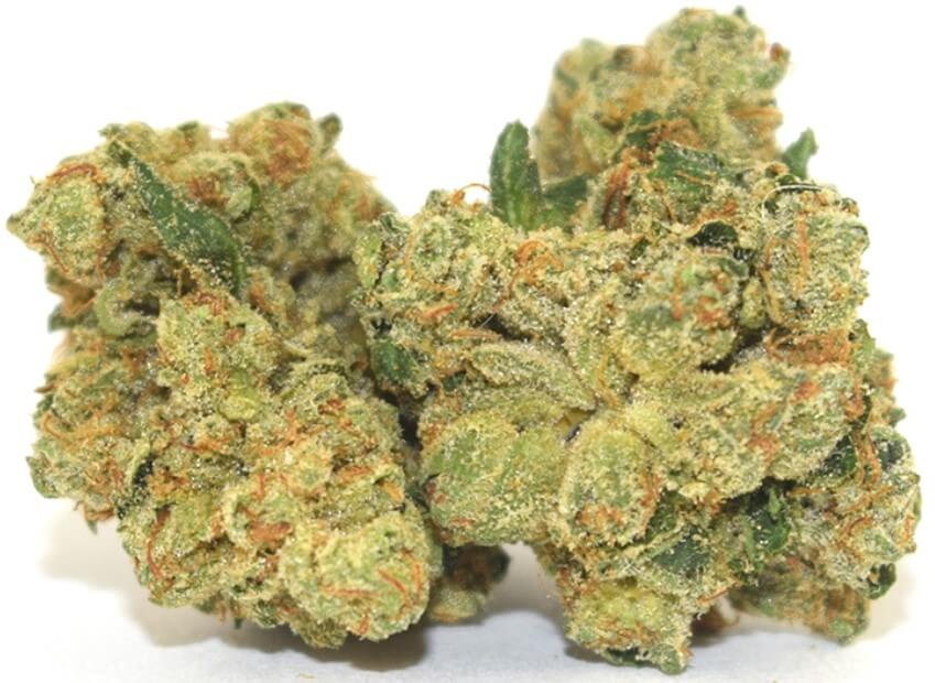 大麻