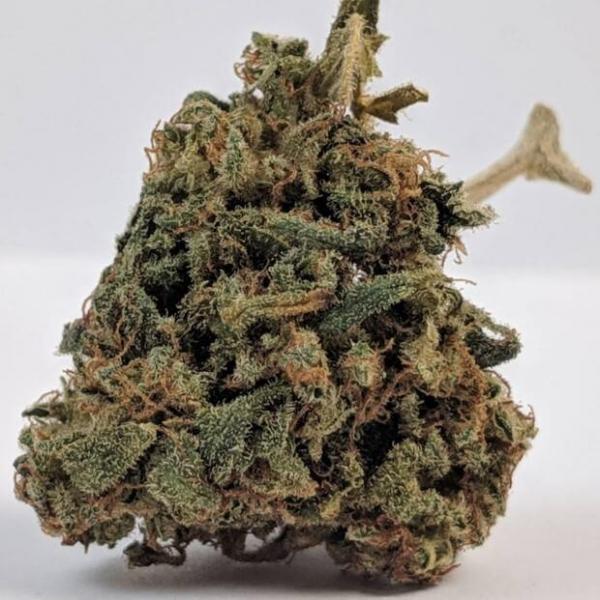 大麻の写真
