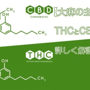 大麻とバッドトリップ 大麻でハイになりすぎた時の対処法3選 Marijuana Jp マリファナｊｐ 国内最大の大麻メディア