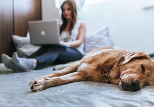 犬と女性