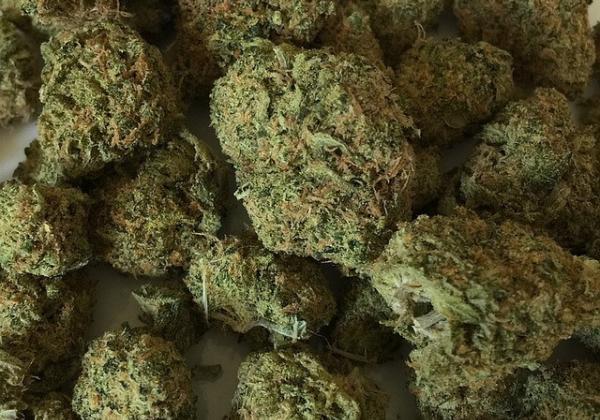 大麻