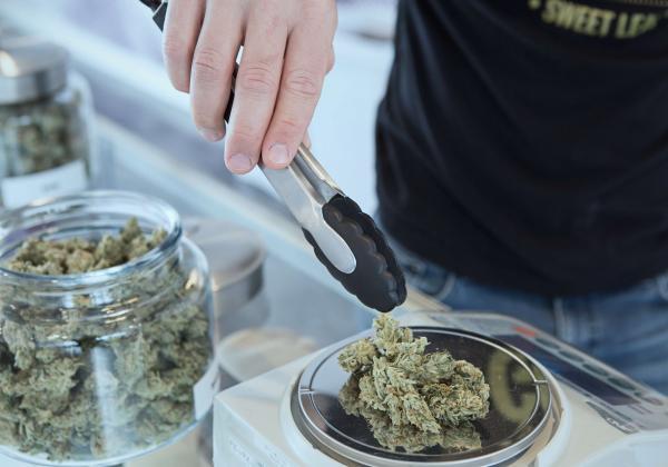 大麻を掴む男性