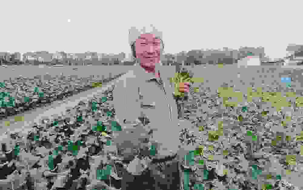 青山哲也