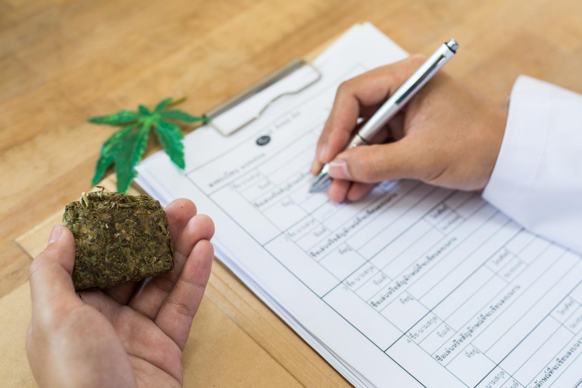 大麻 調査