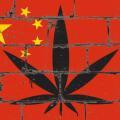 中国がアメリカの大麻合法化を恐れる最大の理由