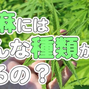 大麻の香りはどんな匂い 香りがついた時の消し方も紹介 Marijuana Jp マリファナｊｐ 国内最大の大麻メディア