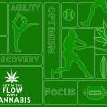 【アスリートのための大麻】身体の回復における大麻の役割とは?