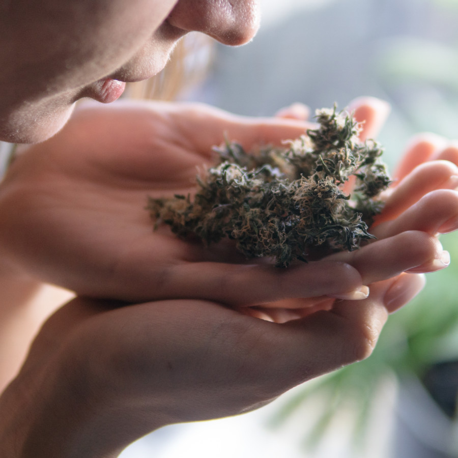大麻