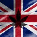 イギリス政府が初の研究用の大麻栽培を承認