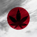 日本の大麻に関する厳しい法律の責任は、なぜ米国にあるのか。日本人よ、目を覚ませ!