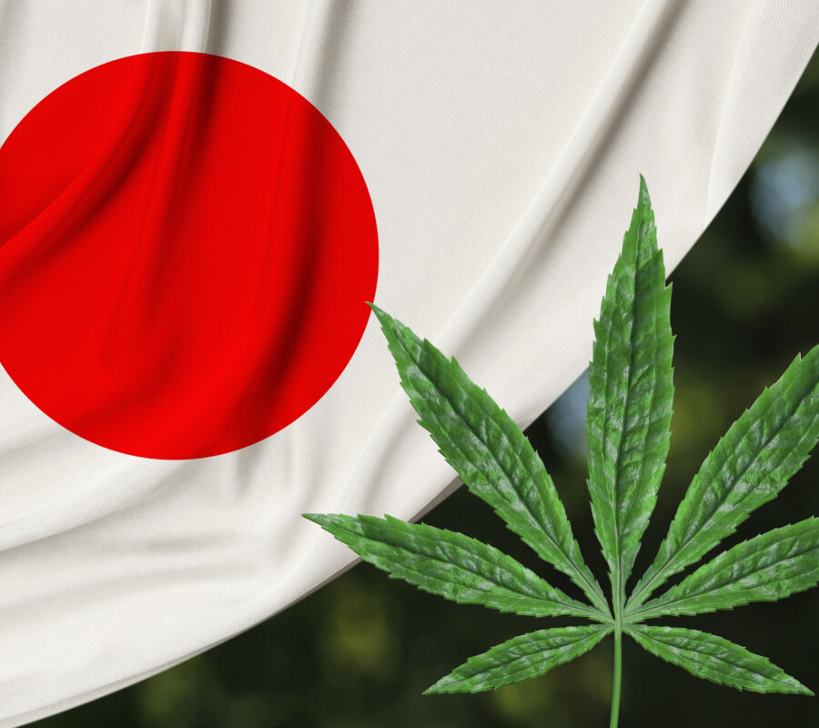 日本国旗と大麻草