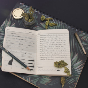 大麻と本