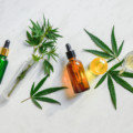 大麻に含まれるカンナビノイドの効能を高めるサプリメント12選