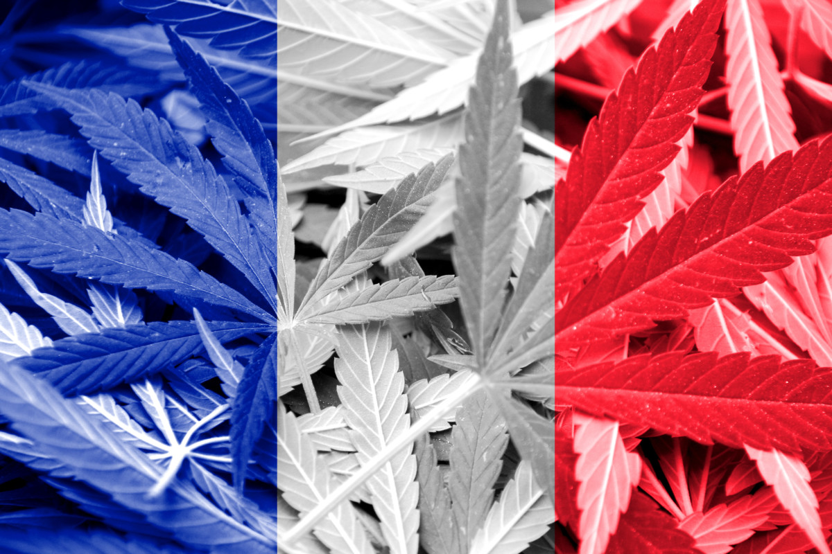 フランス国旗（大麻柄）