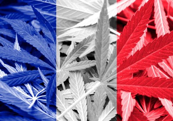 フランス国旗（大麻柄）