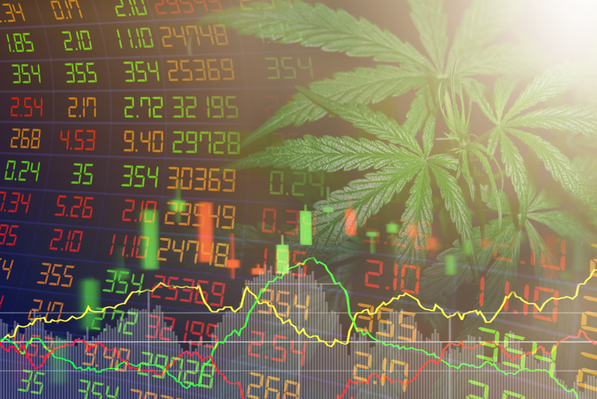 大麻と株価