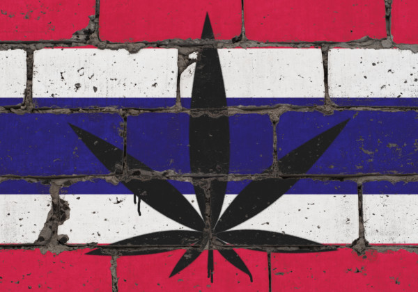 タイ国旗（大麻草柄）