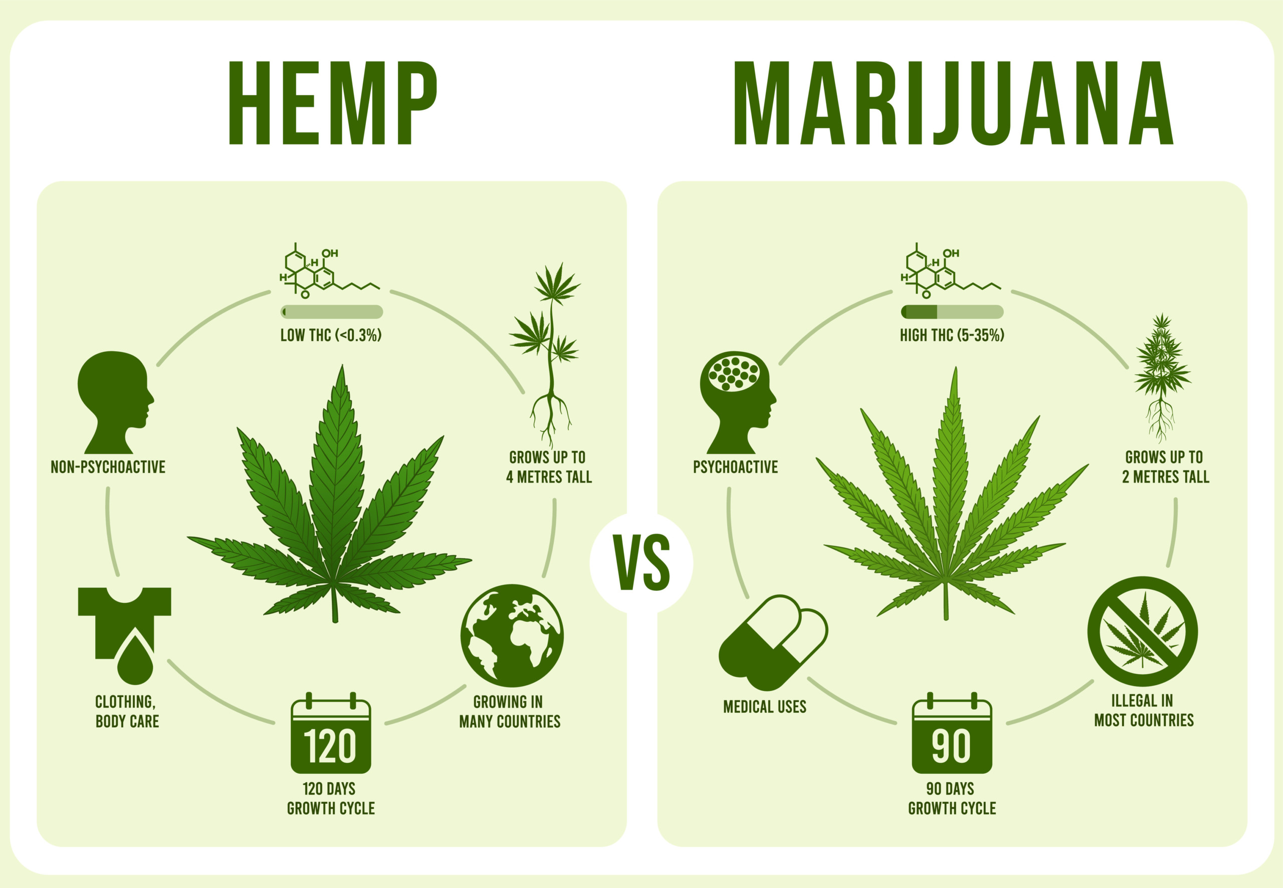 「大麻」と「麻（ヘンプ）」の違いを解説！成分・用途・法律の違いをチェック！ | Marijuana.JP｜マリファナJP 国内最大の大麻メディア