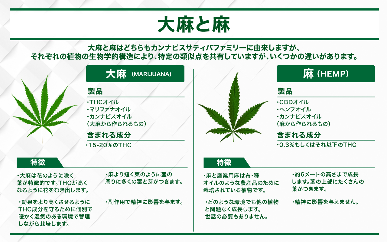 大麻 と 麻 ヘンプ の違いを解説 成分 用途 法律の違いをチェック Marijuana Jp マリファナｊｐ 国内最大の大麻メディア