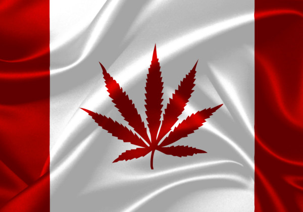 カナダ国旗（大麻草ver）