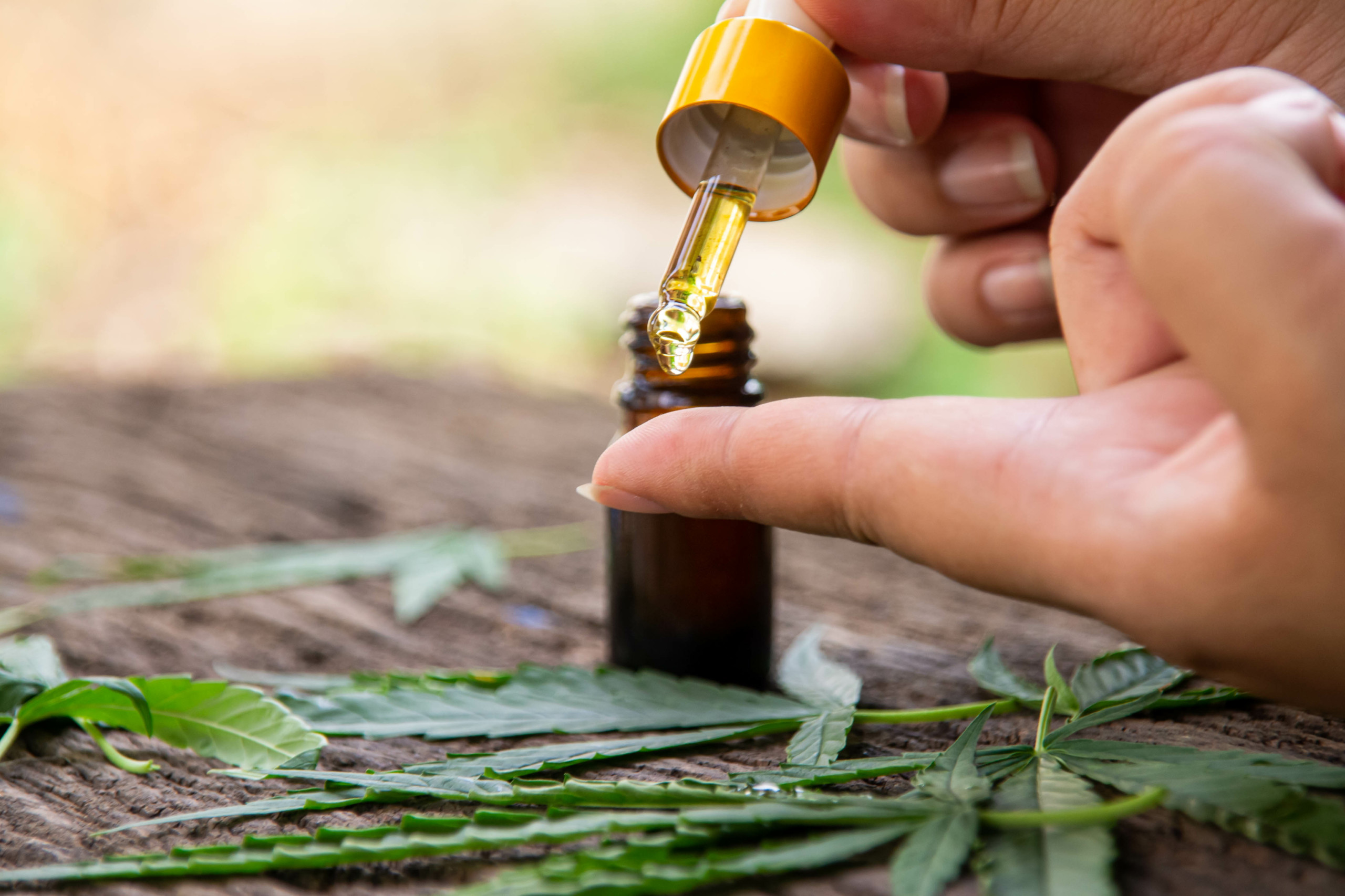 Cbdに抗がん作用はある がんに対する研究や可能性について紹介 Marijuana Jp マリファナｊｐ 国内最大の大麻メディア