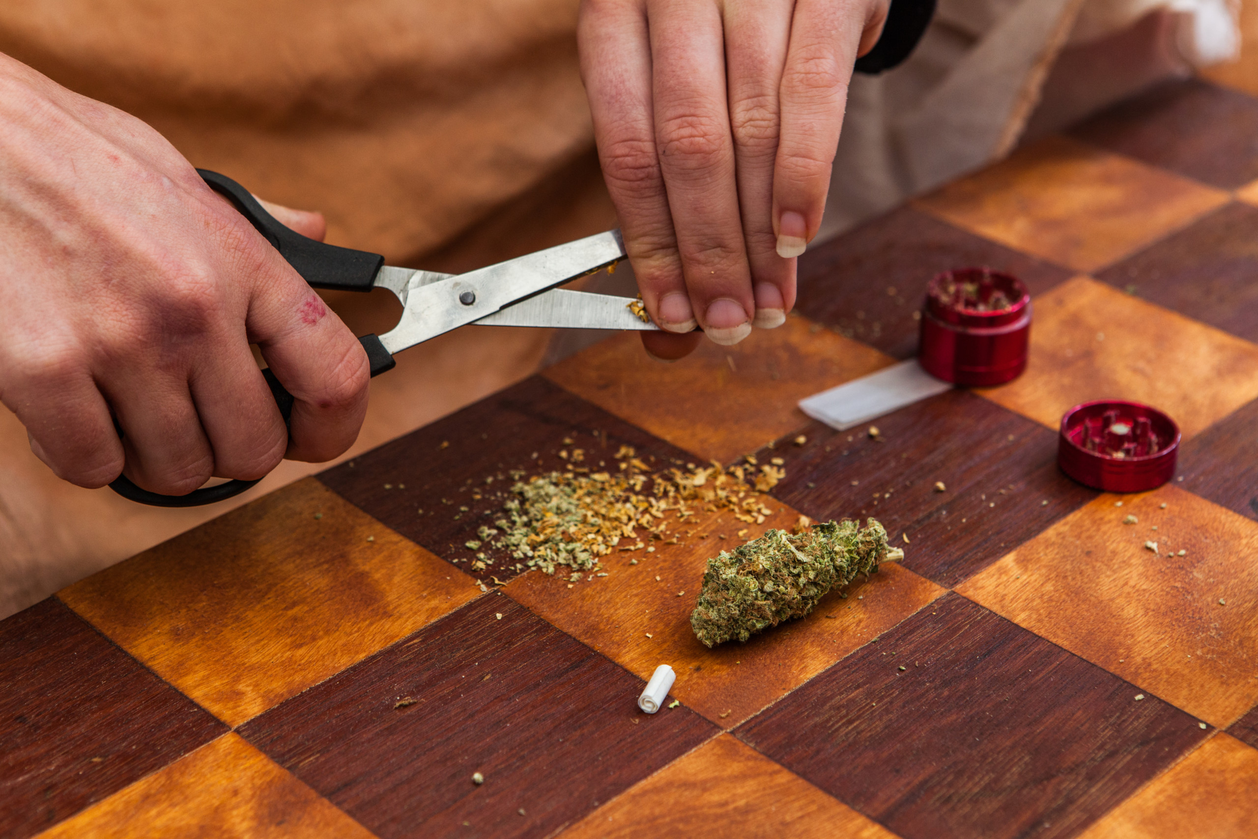 グラインダーなしで大麻を刻める グラインダー以外で大麻を刻む方法4選 Marijuana Jp マリファナｊｐ 国内最大の大麻メディア