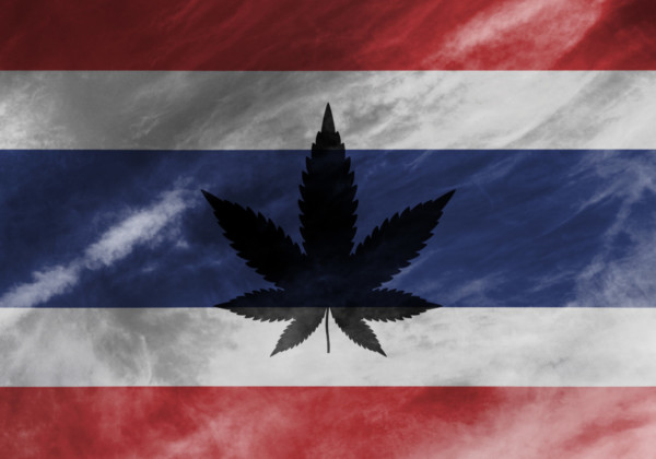 タイ国旗と大麻草