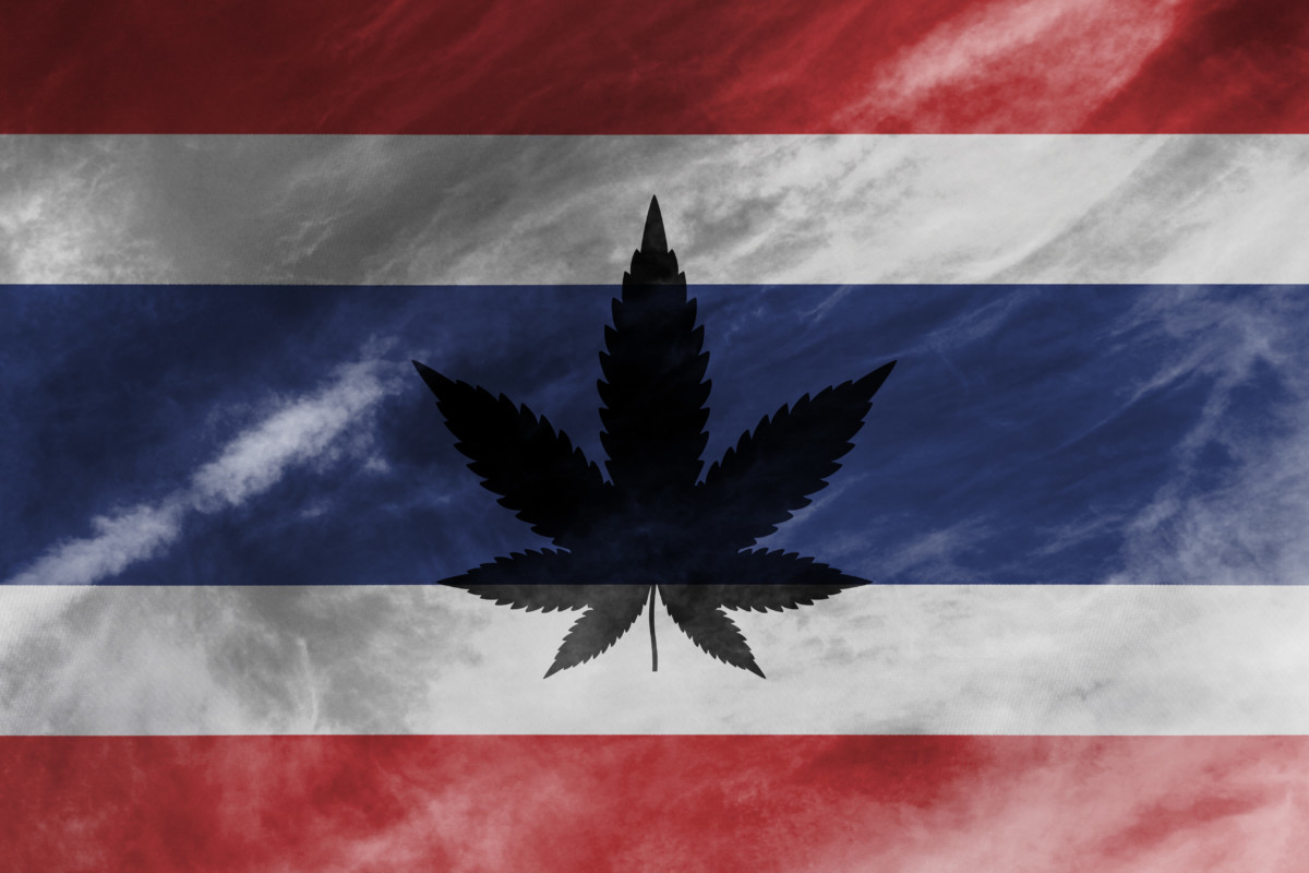 タイ国旗と大麻草