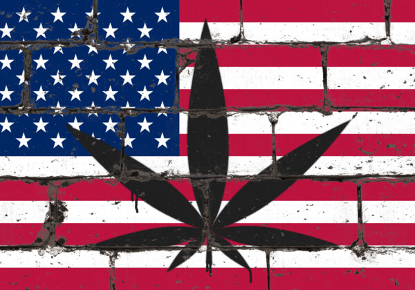 アメリカ国旗と大麻