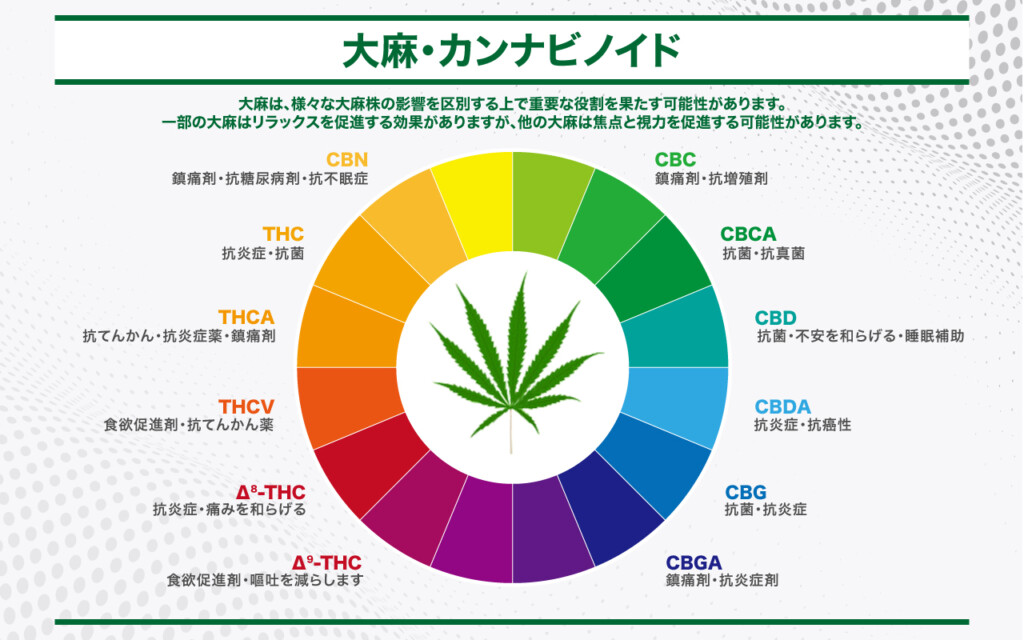 カンナビノイドの治療用途は何ですか?