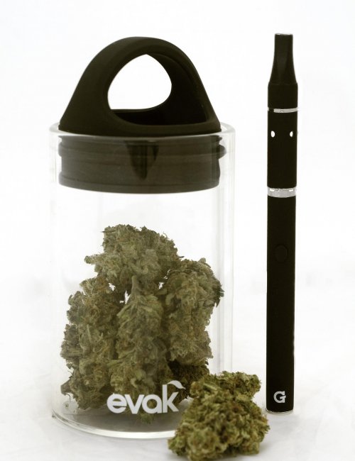 marijuana-2690986_1920 大麻